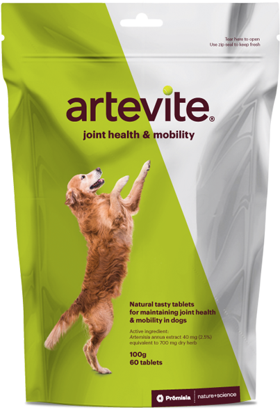 Artevite Dog Jumping - Rat Clipart (600x784), Png Download