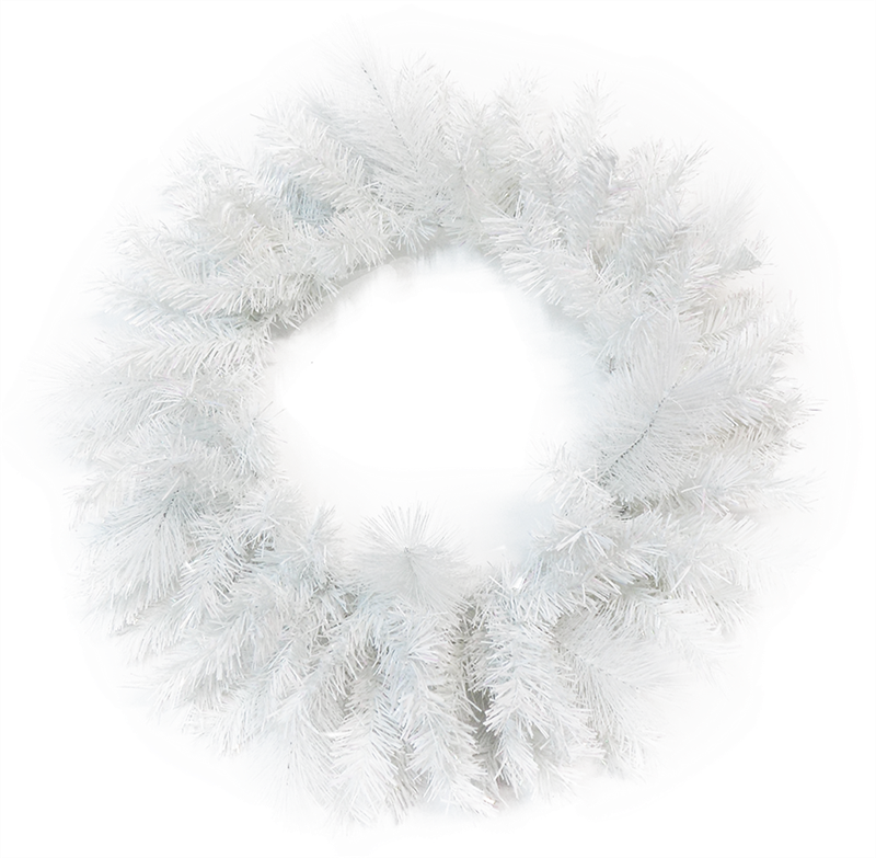 Circle Clipart (800x783), Png Download