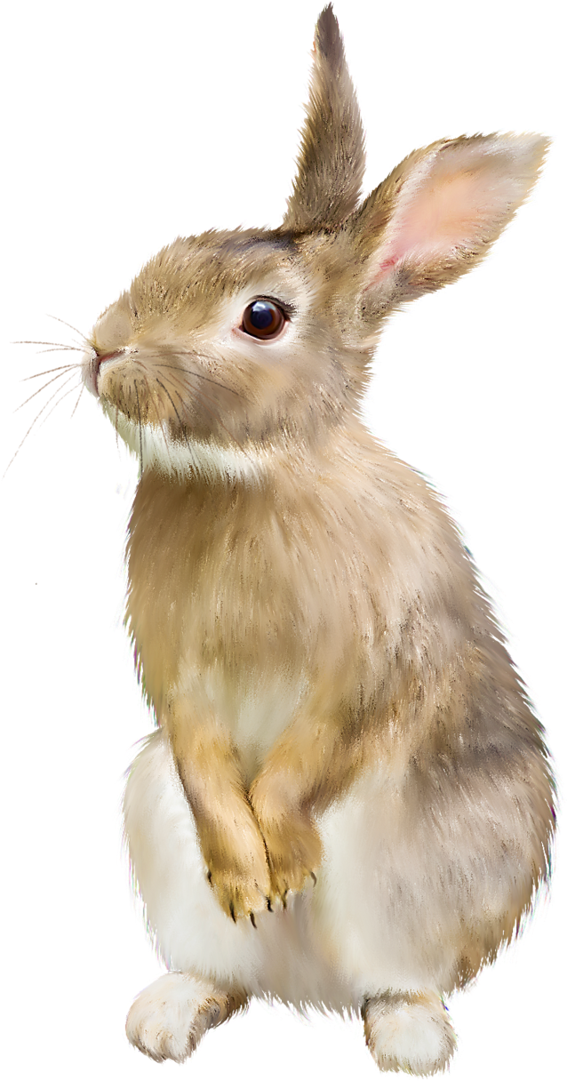 Brown Rabbit Png - Animals Blowing Bubble Gum Clipart (762x1280), Png Download