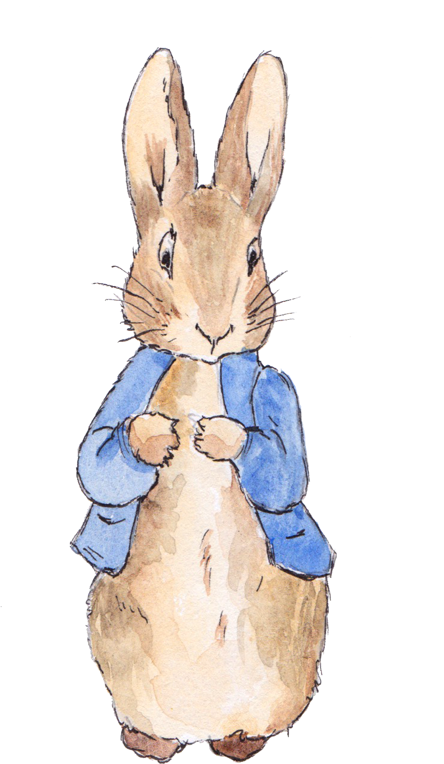 The Tale Of Wedding Invitation Birthday Open - Even The Smallest One Can Change The World Peter Rabbit Clipart (1899x2944), Png Download