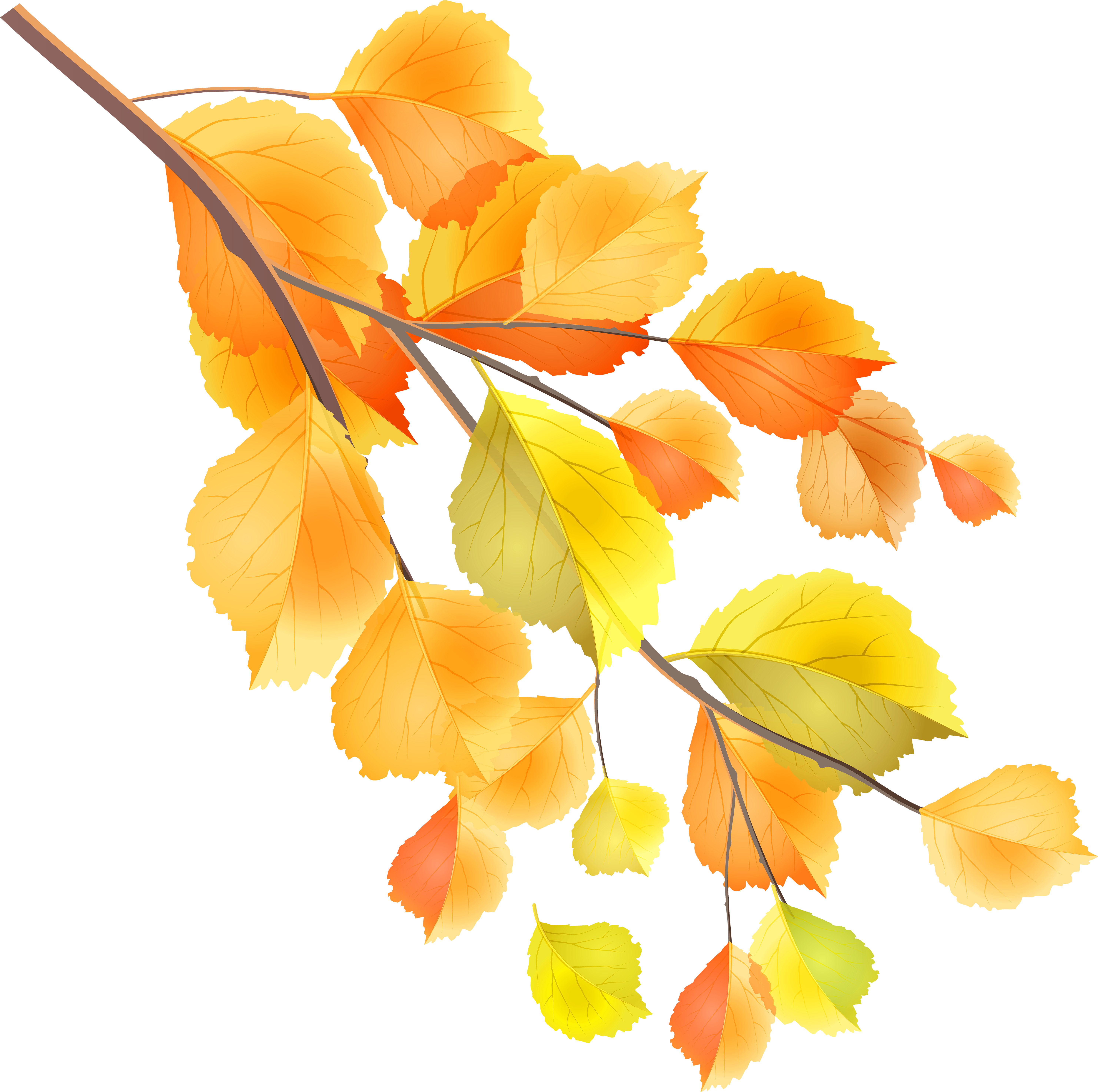 Fall Branches Clip Art Png Transparent Png (6000x5980), Png Download