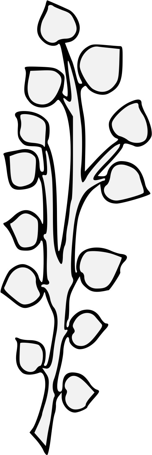 Ash Branch - Line Art Clipart (524x1462), Png Download