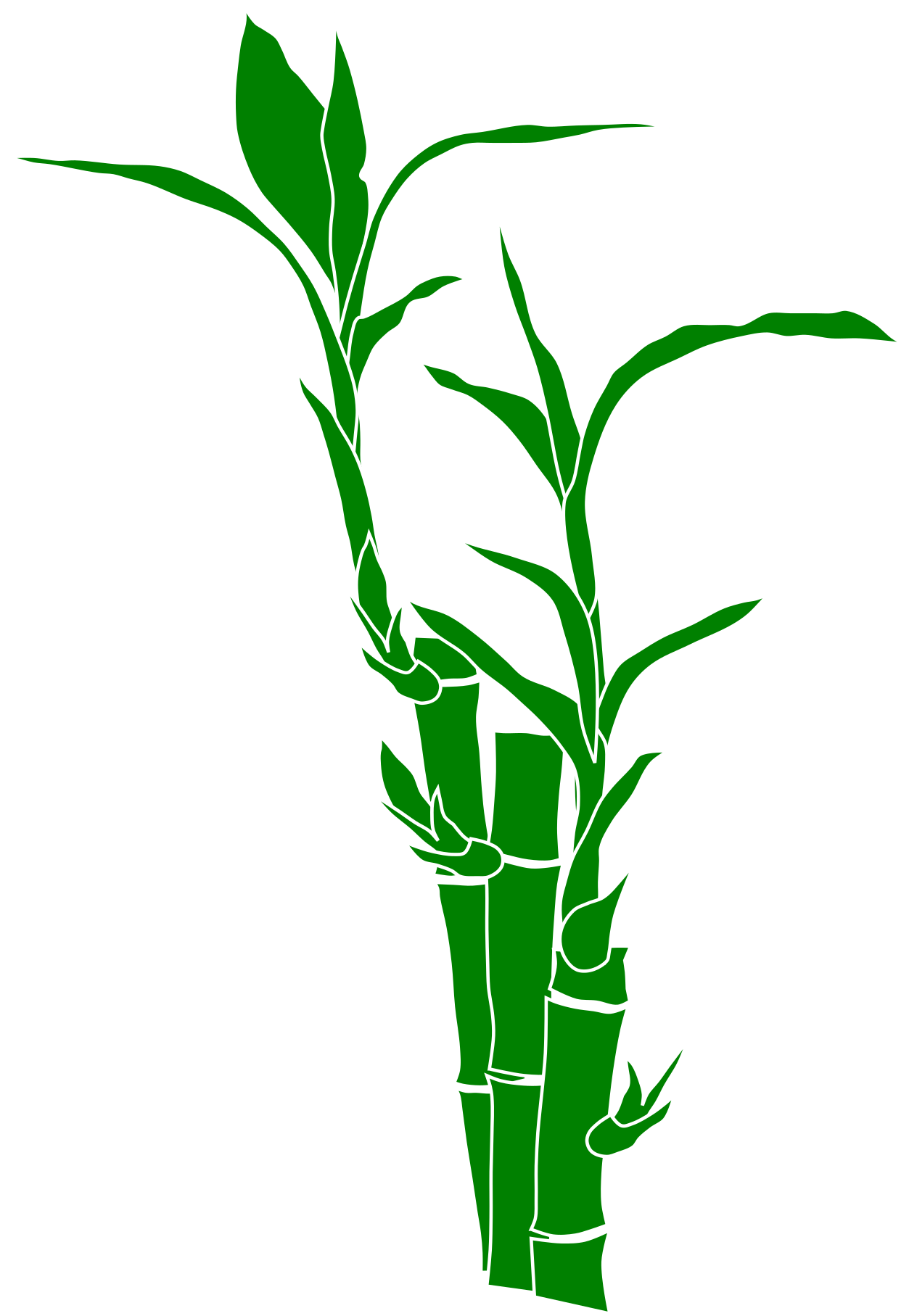 Download And Use Bamboo Png Clipart - Clip Art Bamboo Transparent Png (1697x2400), Png Download
