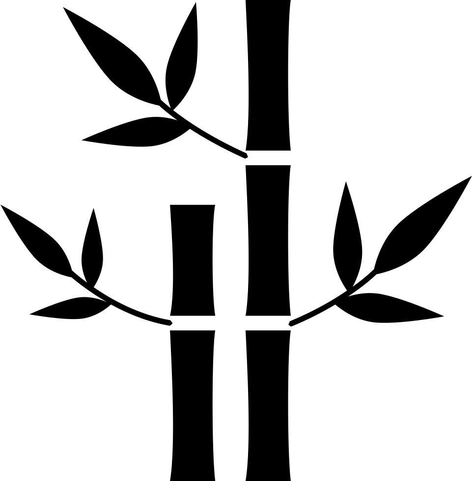 Png File Svg - Bamboo Icon Clipart (960x980), Png Download