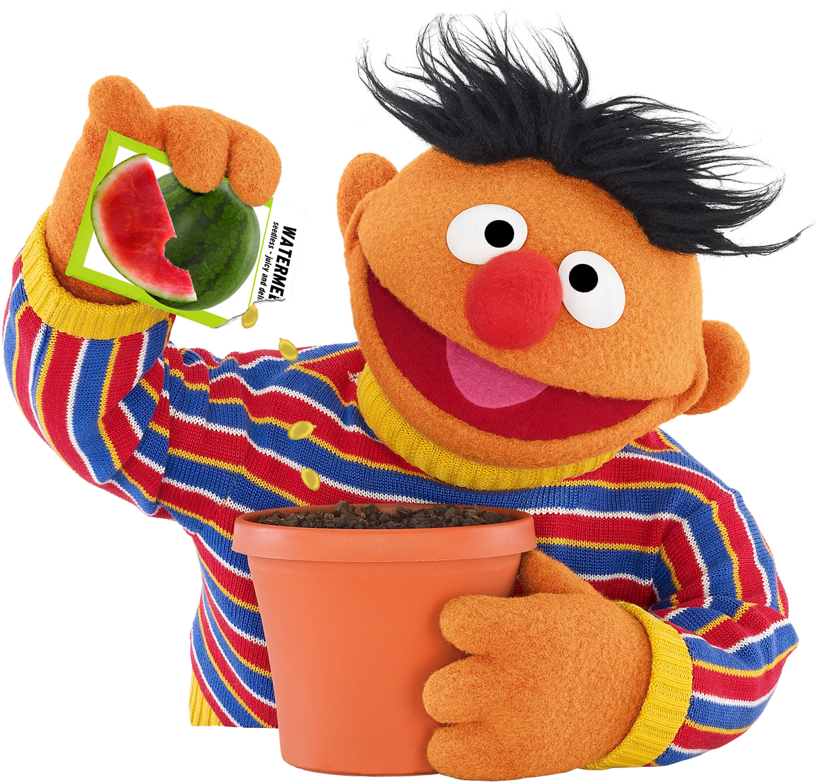 Ernie Plants Watermelon Seeds Sesame Workshop - Ernie Sesame Street Png Clipart (1200x1165), Png Download
