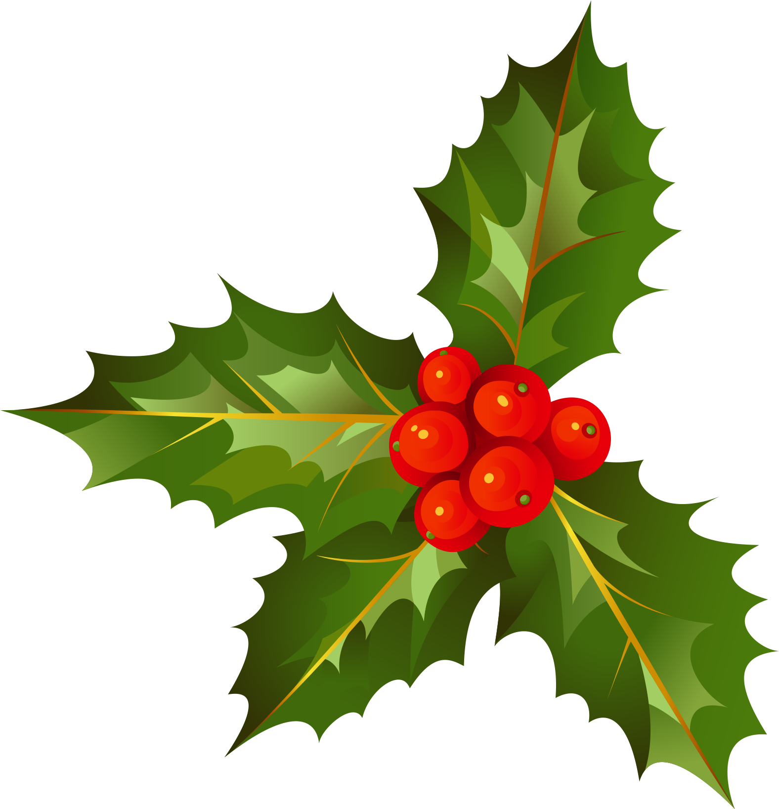 Download - American Holly Clipart (2048x2048), Png Download