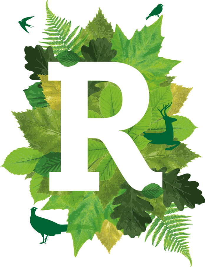 Ivy Clipart Service Award - Rural Business Awards 2017 - Png Download (696x904), Png Download