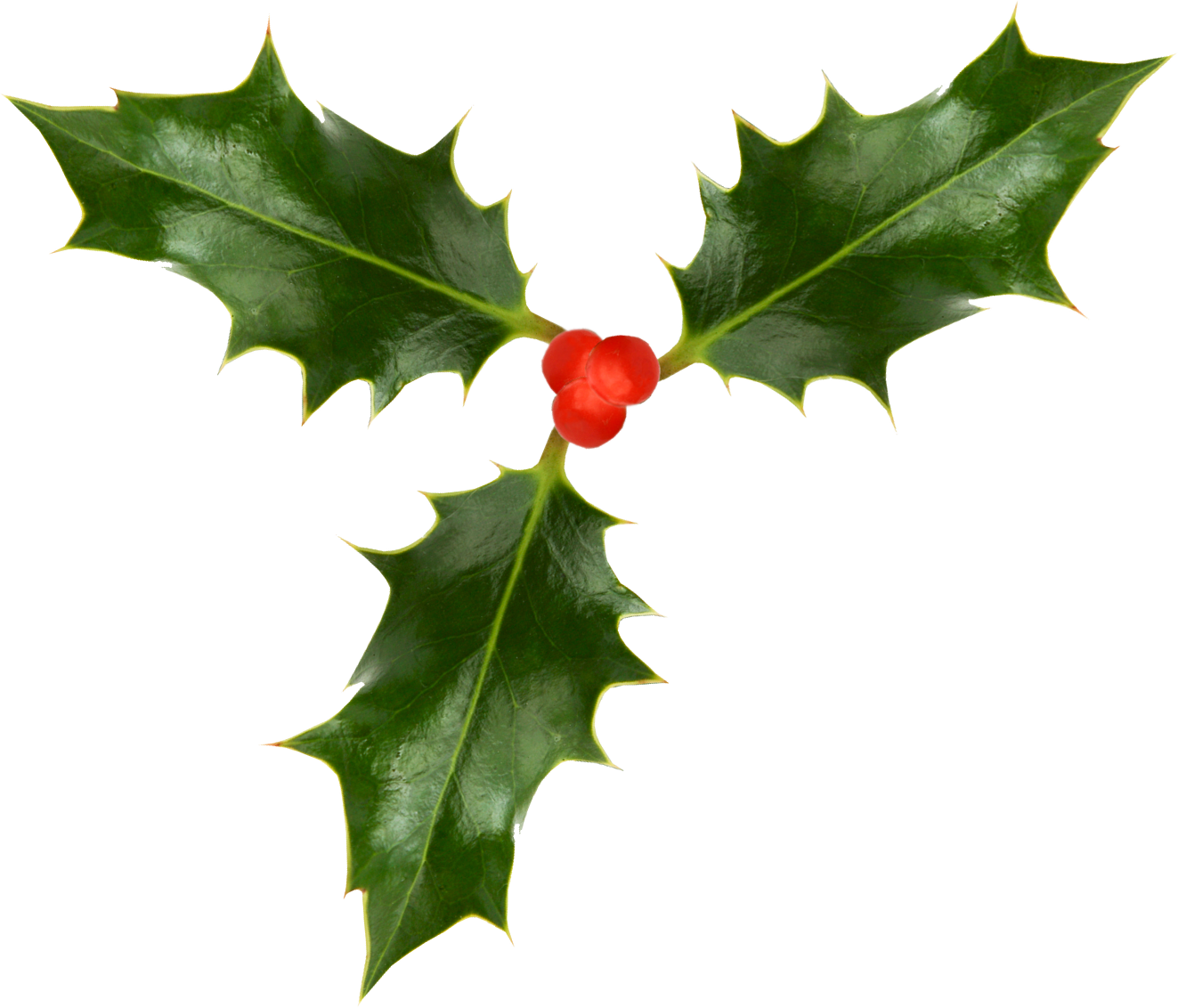 1323 X 1132 8 - Christmas Holly Png Transparent Clipart (1323x1132), Png Download
