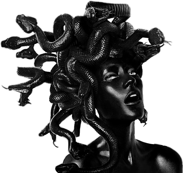 Vaporwave Aesthetic Black Medusa Snake Statue Grunge - Medusa Black Clipart (696x658), Png Download