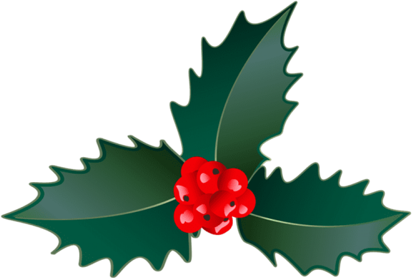 Christmas Holly Png - American Holly Clipart (850x573), Png Download