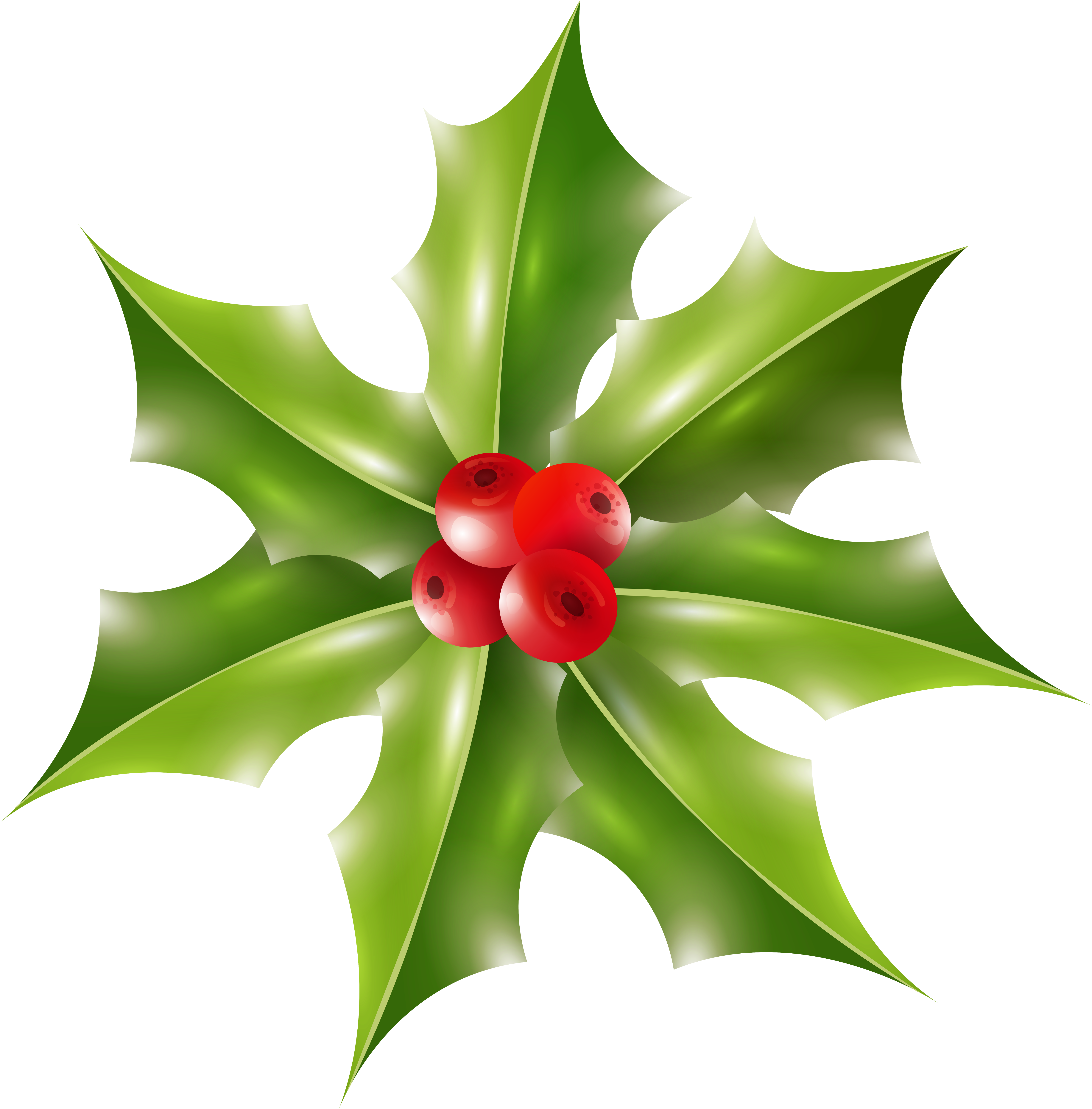 Xmas Holly Png Clip Art Image - Bromelia Transparent Png (5908x6000), Png Download