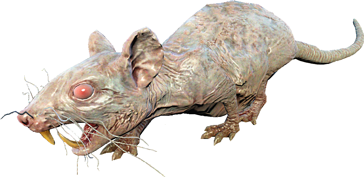 Rad-rat Pup - Rad Rat Fallout 4 Clipart (1000x601), Png Download