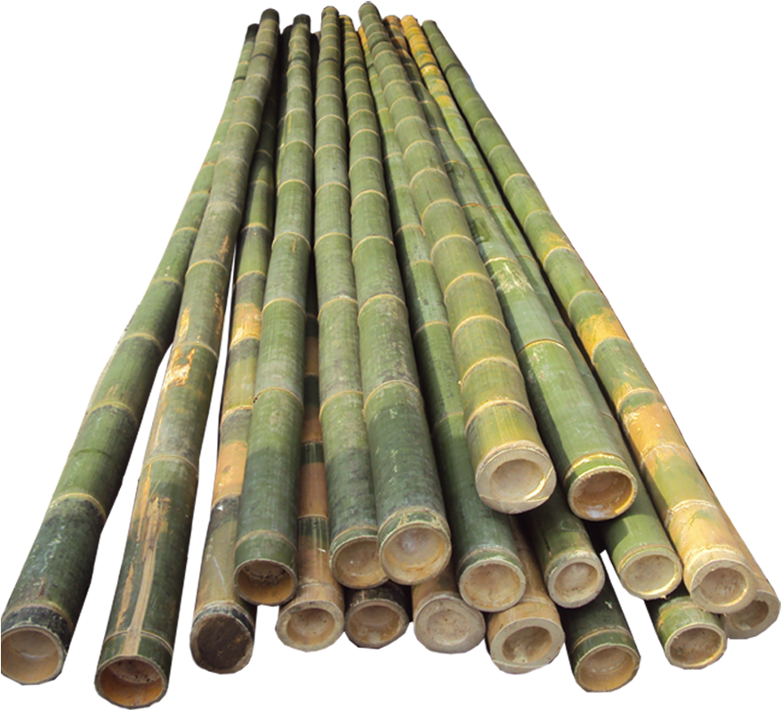 Bamboo Half Cut - Bamboo Pole Vault Poles Clipart (900x800), Png Download