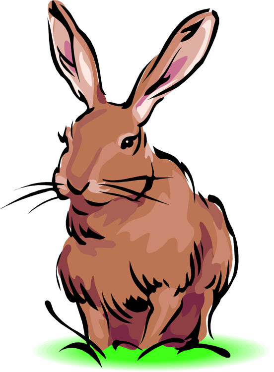 Easter Bunny Clip Art Rabbit Animals Clip Art Downloadclipart - Definition Hare - Png Download (552x750), Png Download