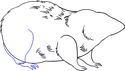 Rat Clipart Transparent Png - Drawing (678x600), Png Download