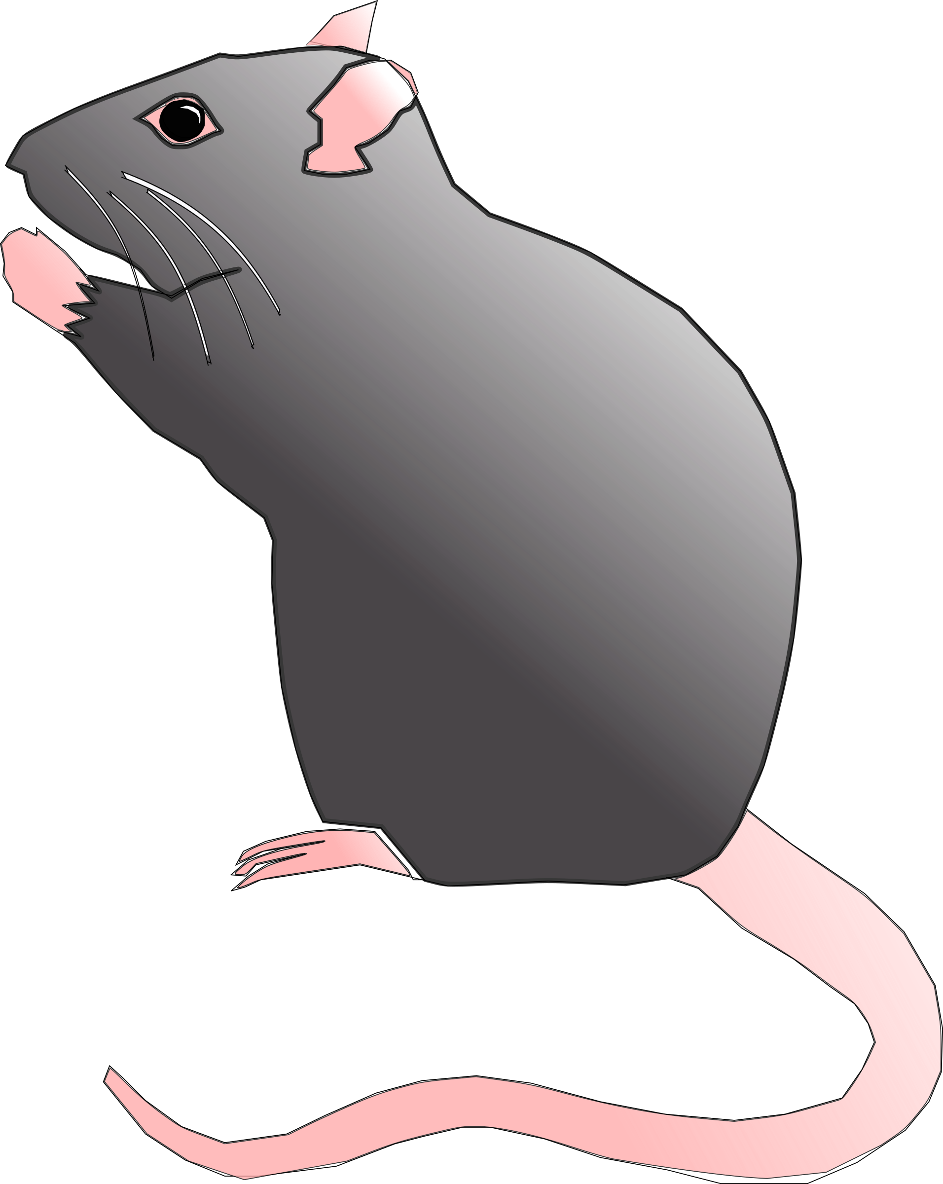 Clipart Rat Cute Rat - Cute Rat Clipart - Png Download (1912x2400), Png Download