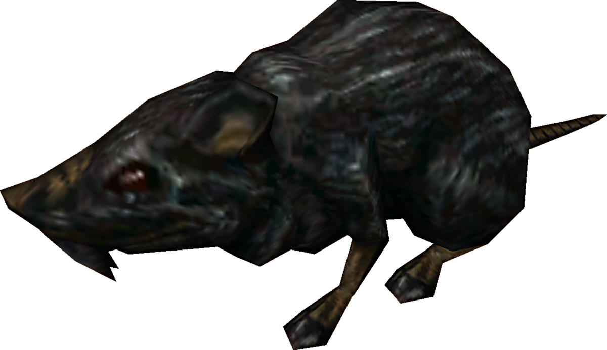 Hippopotamus Clipart (1200x693), Png Download