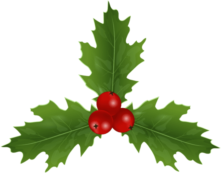 Free Png Christmas Holly Mistletoe Png Images Transparent - American ...