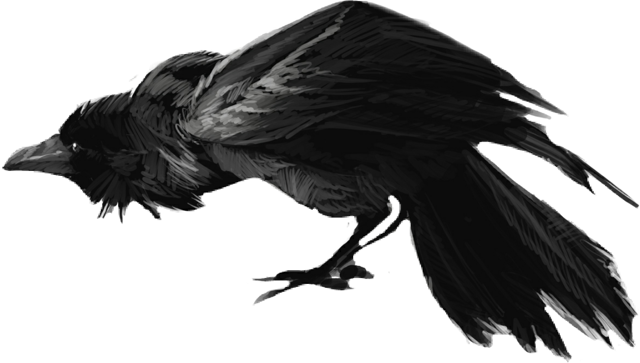 Banner Download Crow Clipart Scary - Raven Drawing Evil - Png Download (1301x739), Png Download