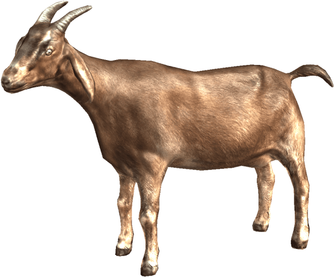 Download Goat Png Images Background - Transparent Background Goats Png Clipart (850x598), Png Download