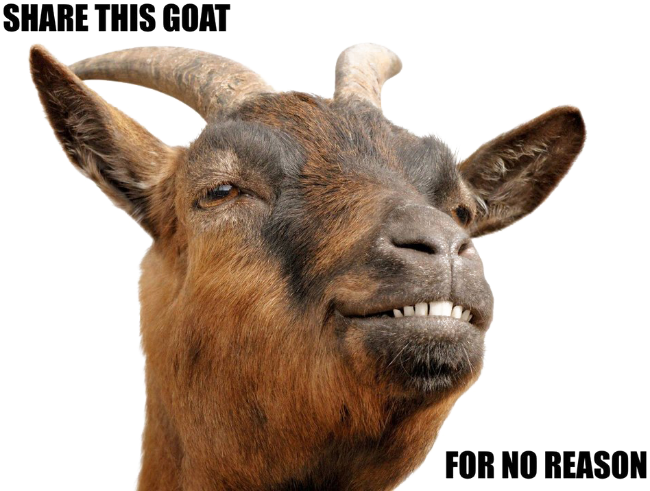 Goat Png Download Image - Goat Stock Clipart (1080x720), Png Download