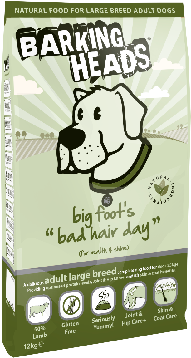 Bh Dog Big Foot - Dalmatian Clipart (712x1200), Png Download