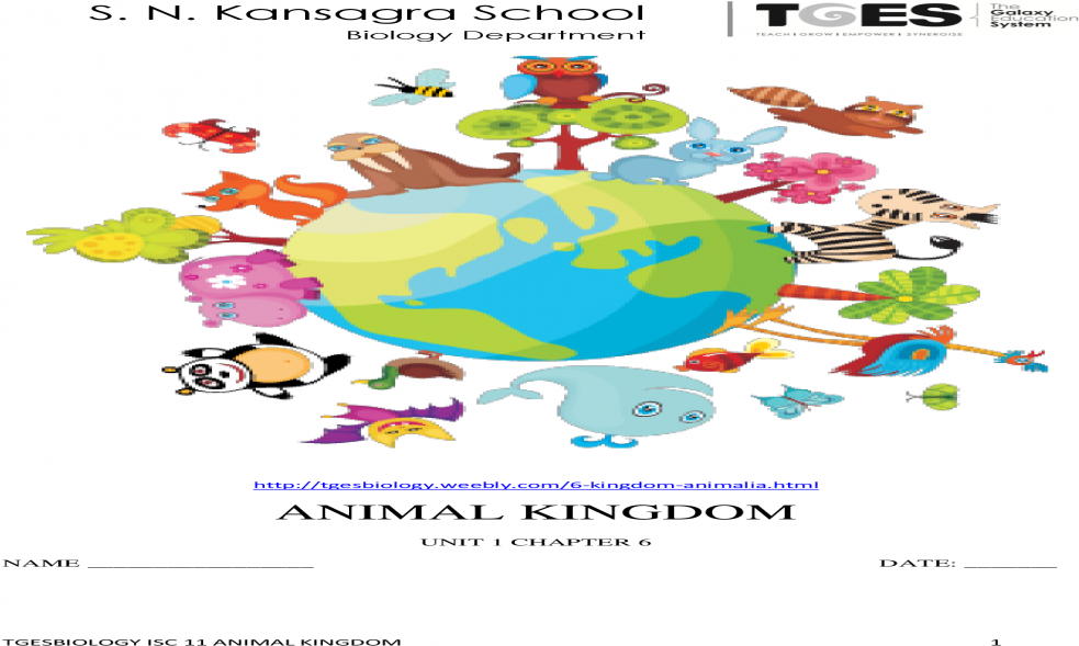 6 Kingdom Animal Kingdom Clipart (1200x630), Png Download