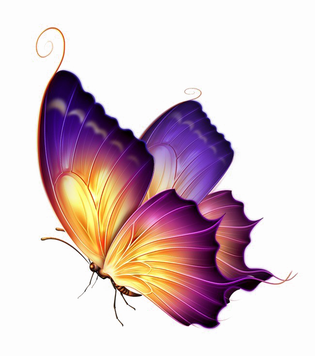 Butterfly Png Transparent Image - Purple And Gold Butterfly Clipart (650x733), Png Download