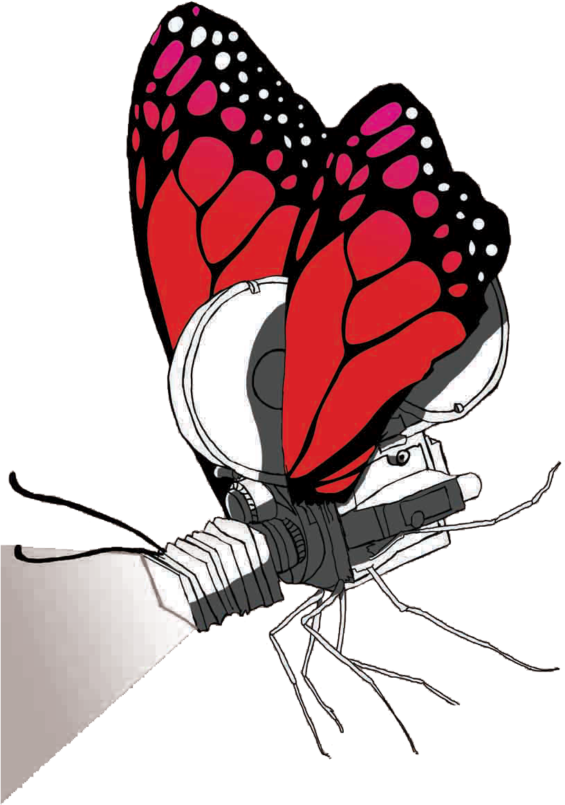 Download Transparent Png - Brush-footed Butterfly Clipart (817x1163), Png Download