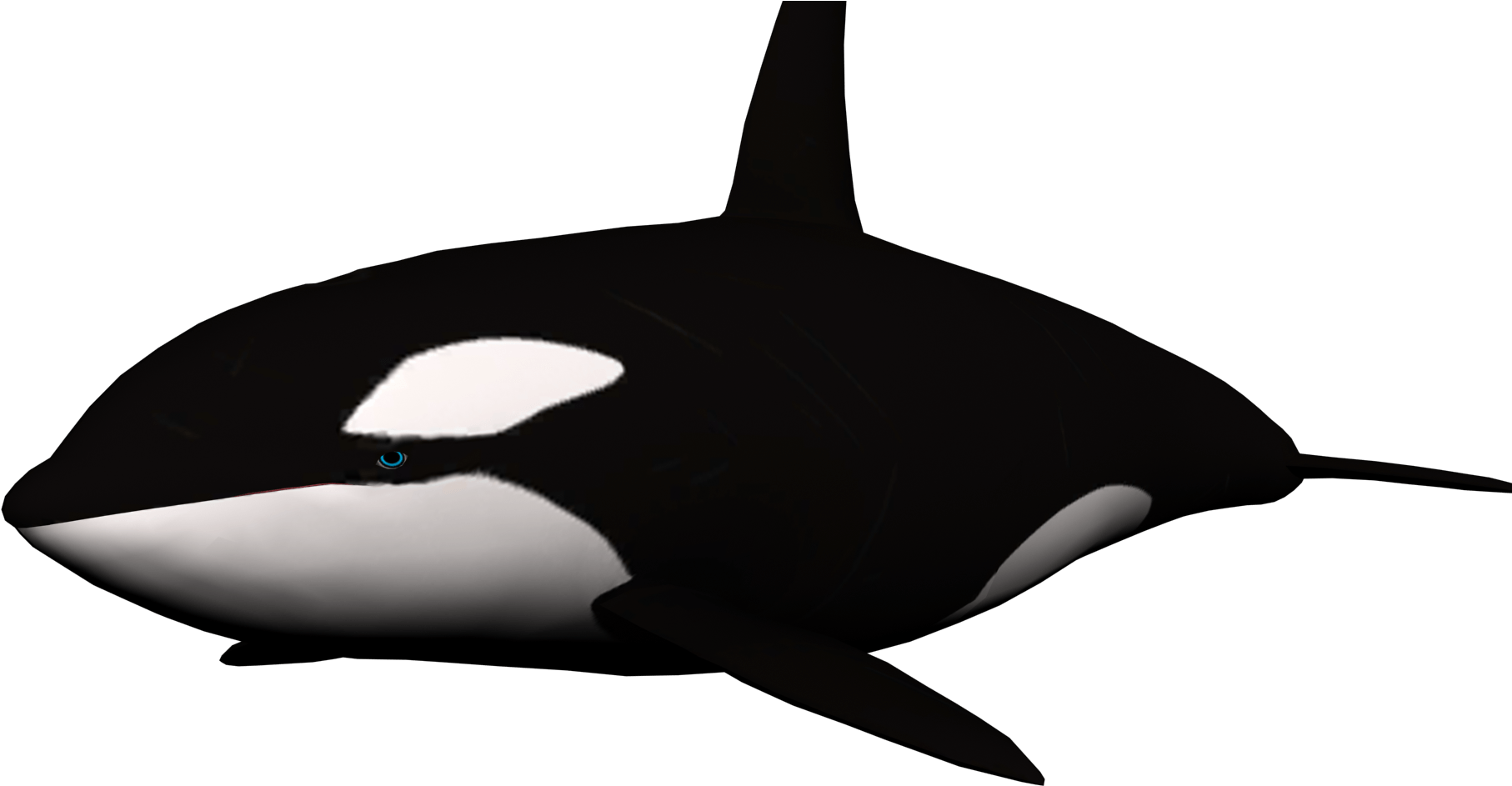 Black Whale Clipart - Killer Whale No Background - Png Download (1920x1080), Png Download