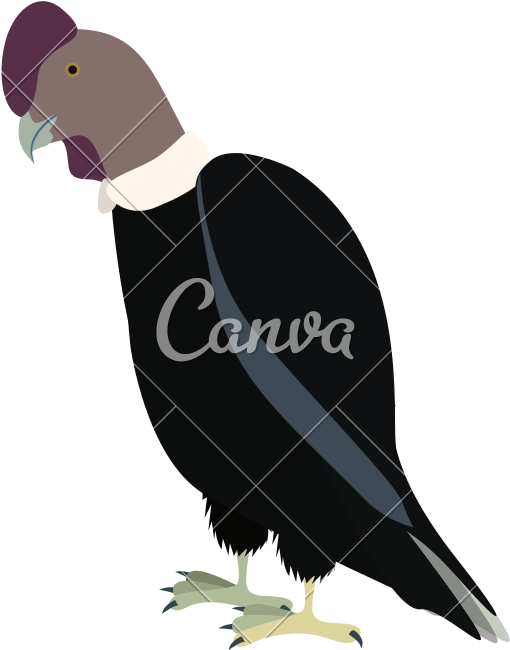 Condor Drawing Icon - Canva Clipart (800x800), Png Download