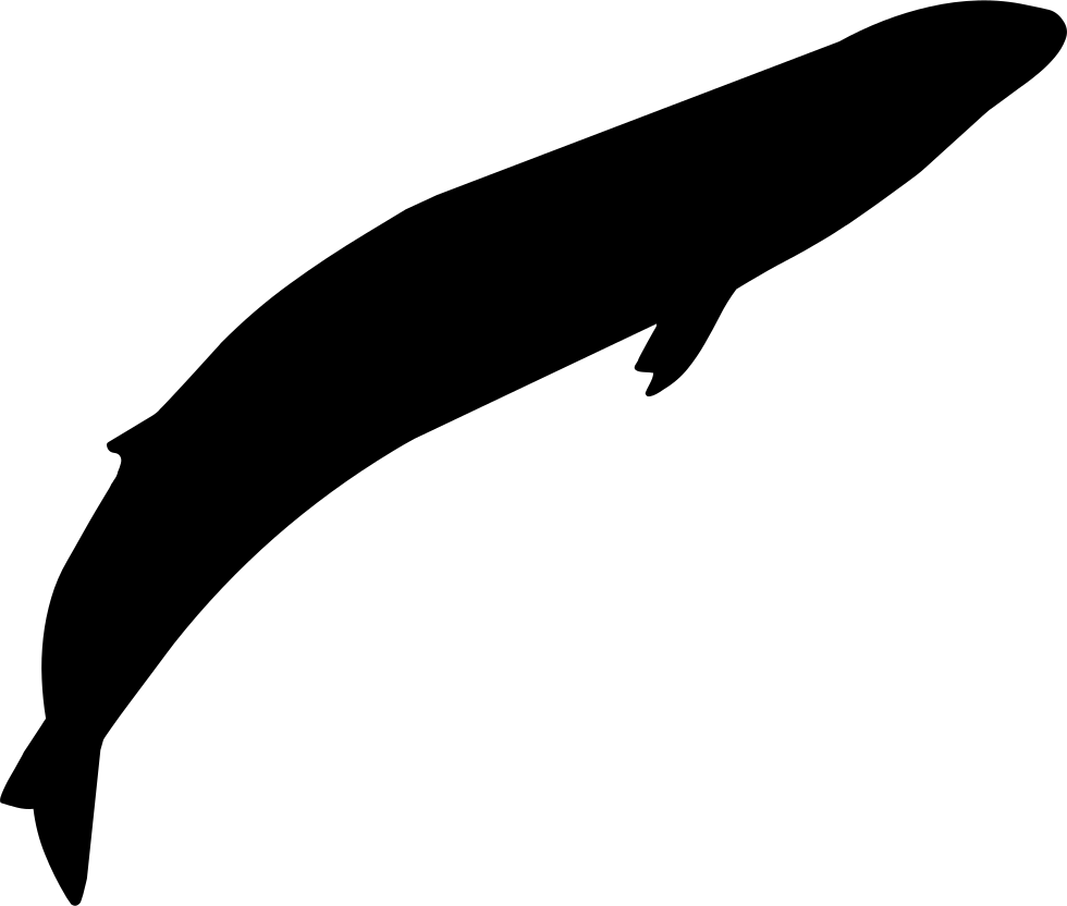 Png File Svg - Whale Clipart (980x832), Png Download
