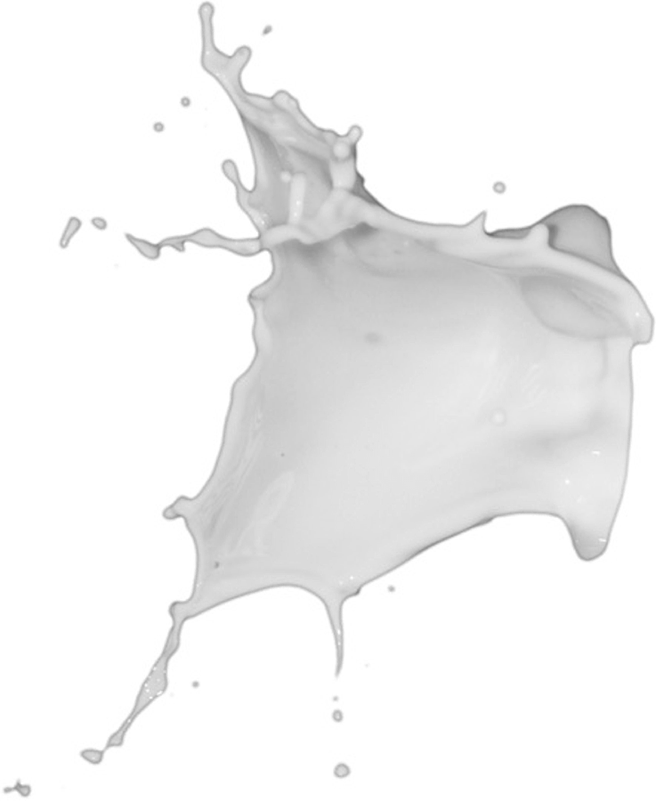 Forgetmenot Chocolate And Milk Splash - Monochrome Clipart (737x900), Png Download