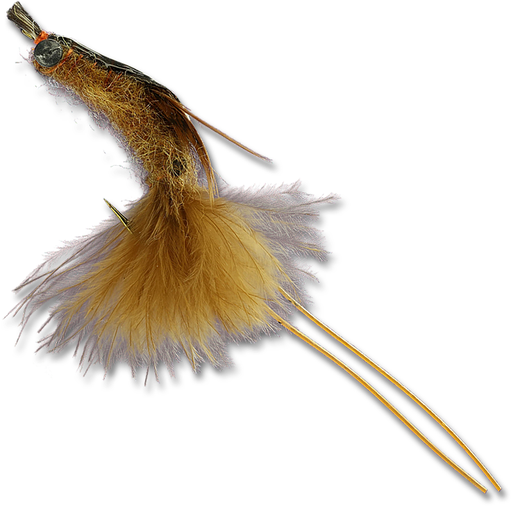 Tail Clipart (800x800), Png Download