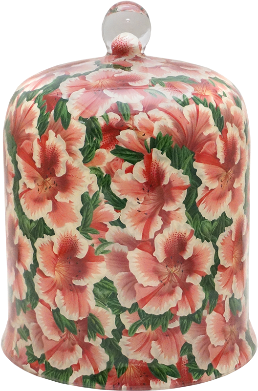 Dome Png Clipart (800x800), Png Download