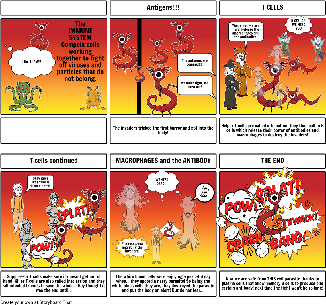 The Immune System - Story Board On Immune System Clipart (1164x1086), Png Download