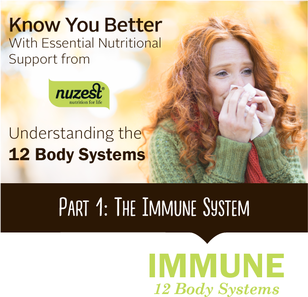 12 Body Systems Part - Girl Strawberry Blonde Hair And Hazel Eyes Clipart (623x623), Png Download