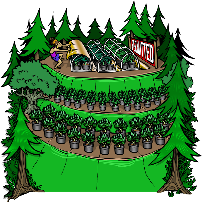 Mountain Top Biggest - Illustration Clipart (690x691), Png Download
