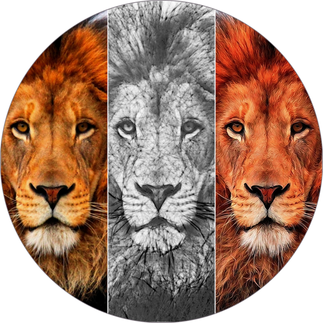 Sketch N Cartoonize 4 - Wildlife Heritage Foundation Clipart (630x630), Png Download