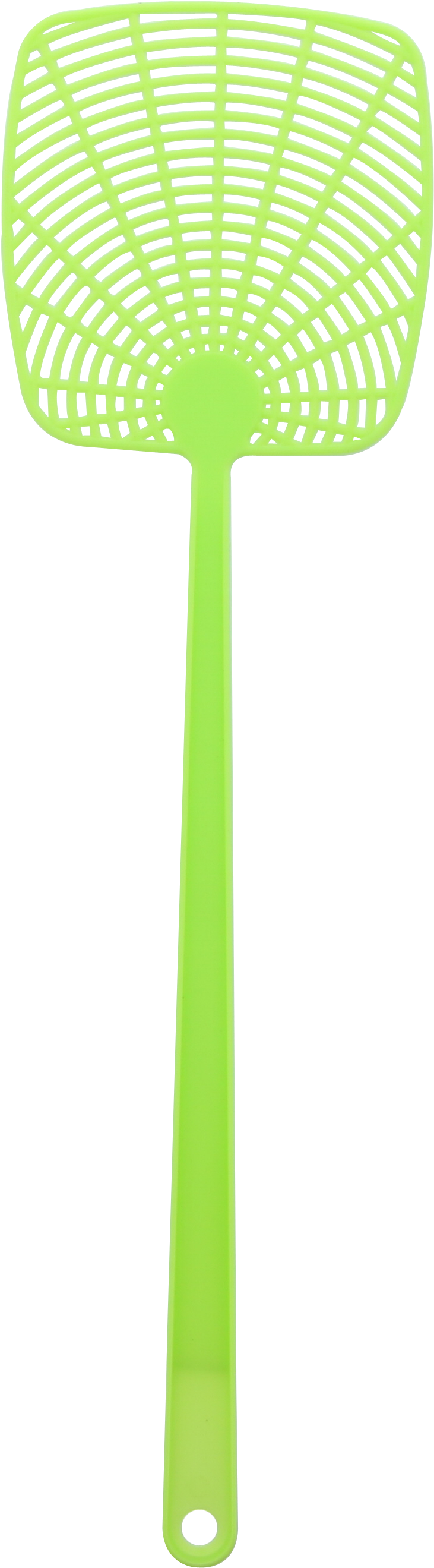 Plant Stem Clipart (3000x3000), Png Download