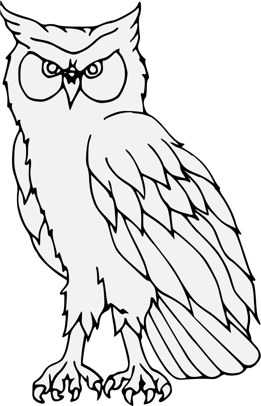 Details, Png - Eastern Screech Owl Clipart (881x1357), Png Download