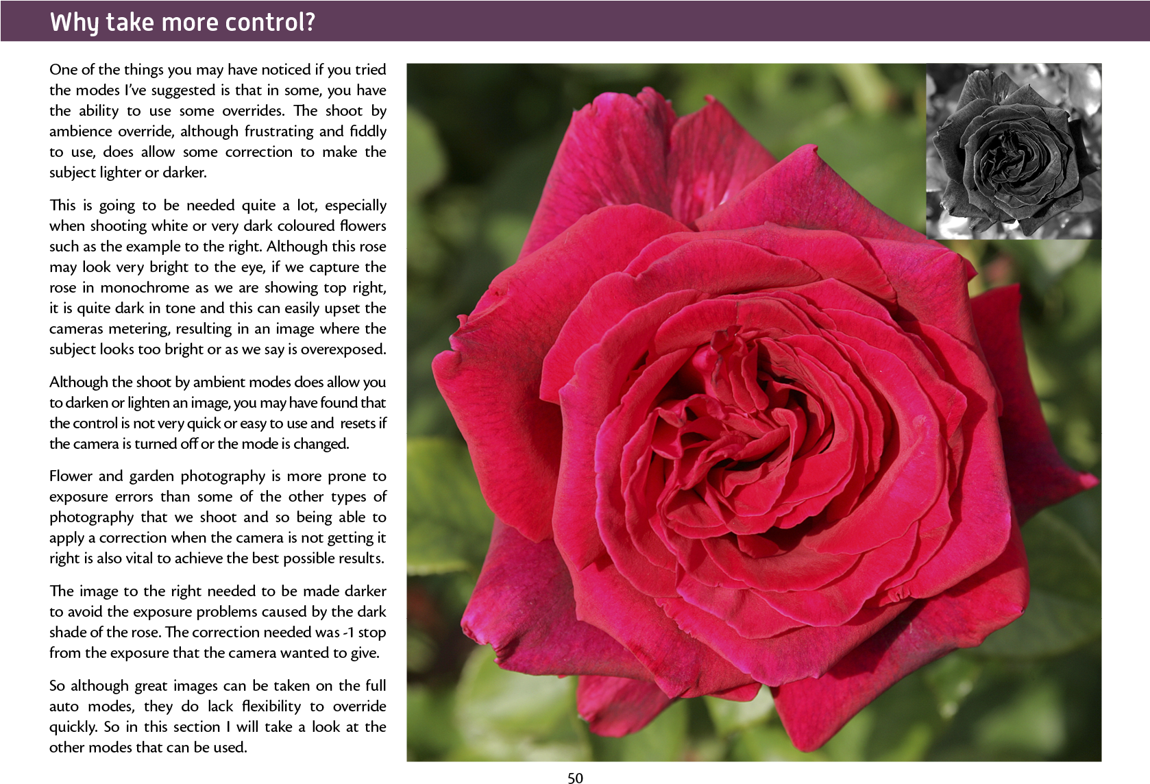 Joomla Plugins - Garden Roses Clipart (1677x1240), Png Download