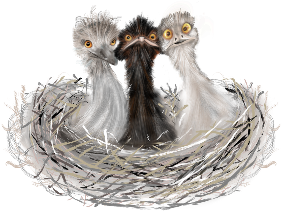 Filter By Category - Emu Clipart (2091x864), Png Download