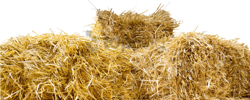 Free Png Top Of Straw Bales Png Image With Transparent - Hay Bale Transparent Clipart (850x373), Png Download