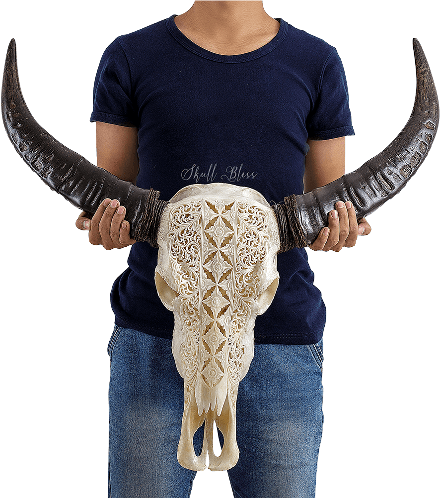 Carved Buffalo Skull - Bull Clipart (1000x1000), Png Download