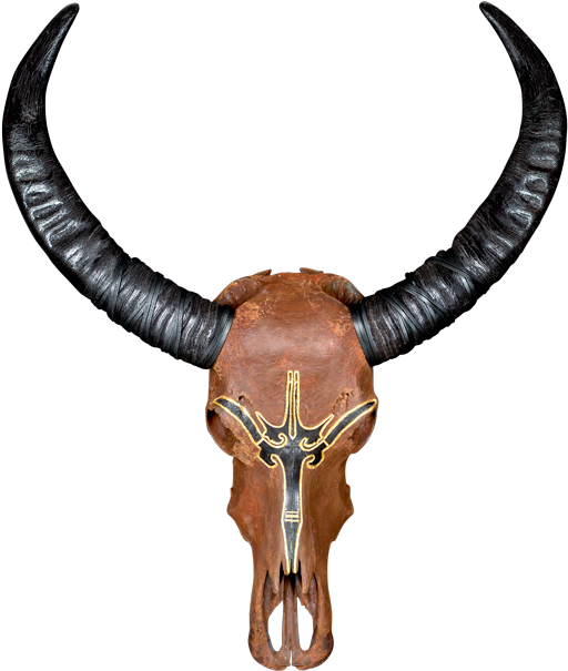 Rgb - Bull Clipart (900x604), Png Download