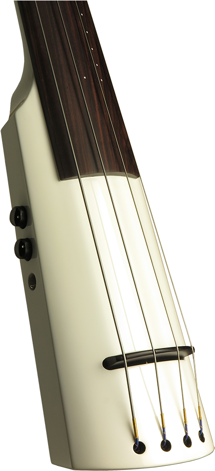 Violin Ns Design White Clipart (637x1024), Png Download