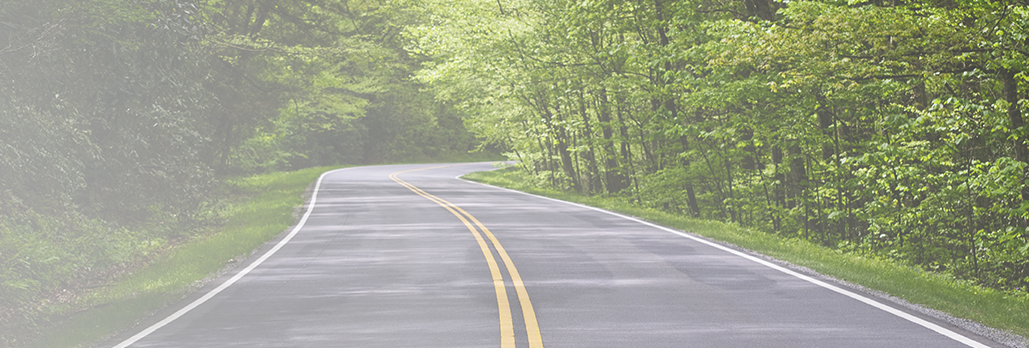 Winding Road Banner - Road With Trees On Both Clipart (1029x348), Png Download