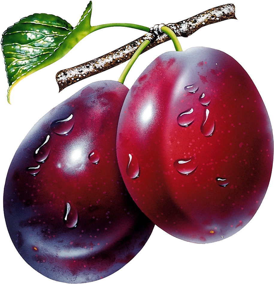 Plum Png Image - Prunes Clipart Transparent Png (1000x1003), Png Download