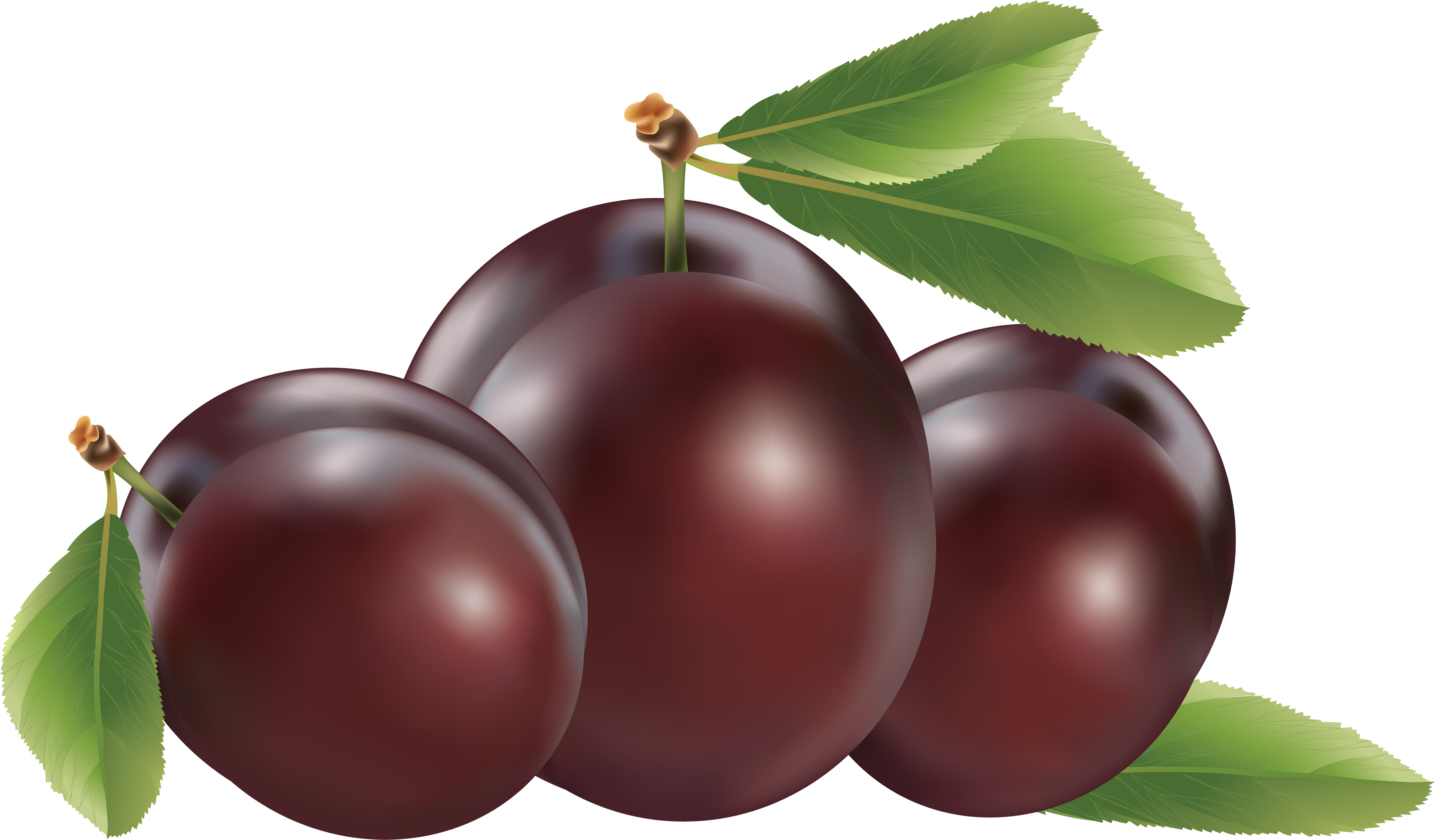 Plum Png Image - Plums Clipart Png Transparent Png (3497x2048), Png Download